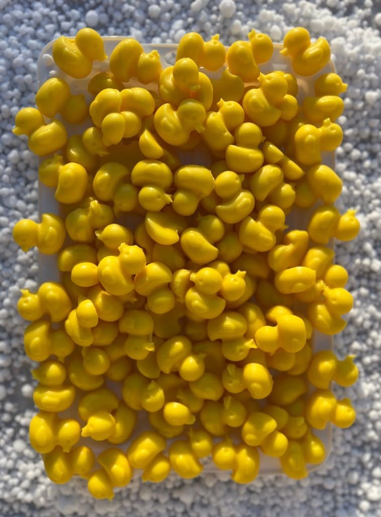 A tray full of yellow duck-shaped wax melts
